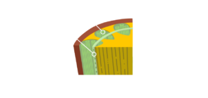 Información células