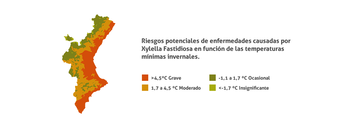 Mapa Xylella